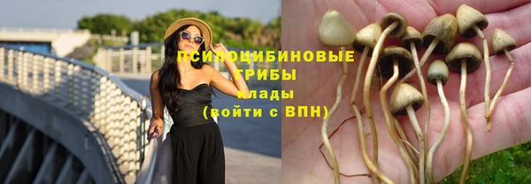 дурь Белоозёрский