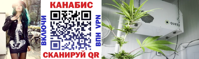 Бошки Шишки OG Kush  Шахунья 